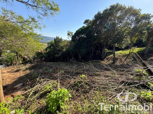 #392 - Terreno para Venda em Garopaba - SC - 3