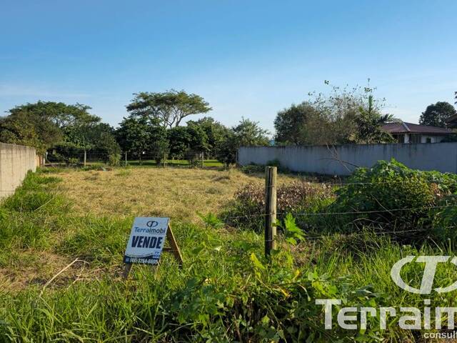 #400 - Terreno para Venda em Garopaba - SC - 1