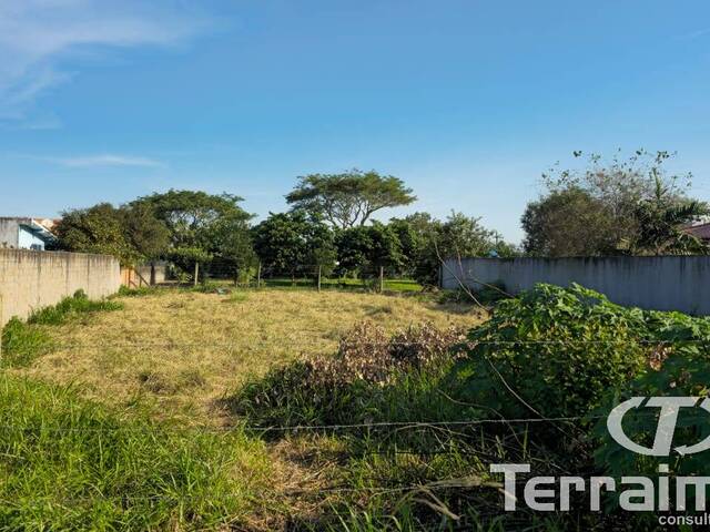 #400 - Terreno para Venda em Garopaba - SC - 3